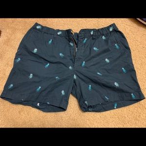 Chubbies shorts- jellyfish